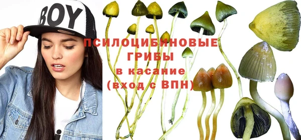 кокаин Бикин