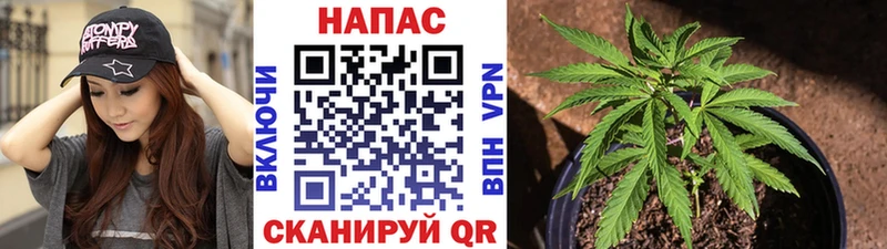 дарнет шоп Иноземцево Марихуана семена